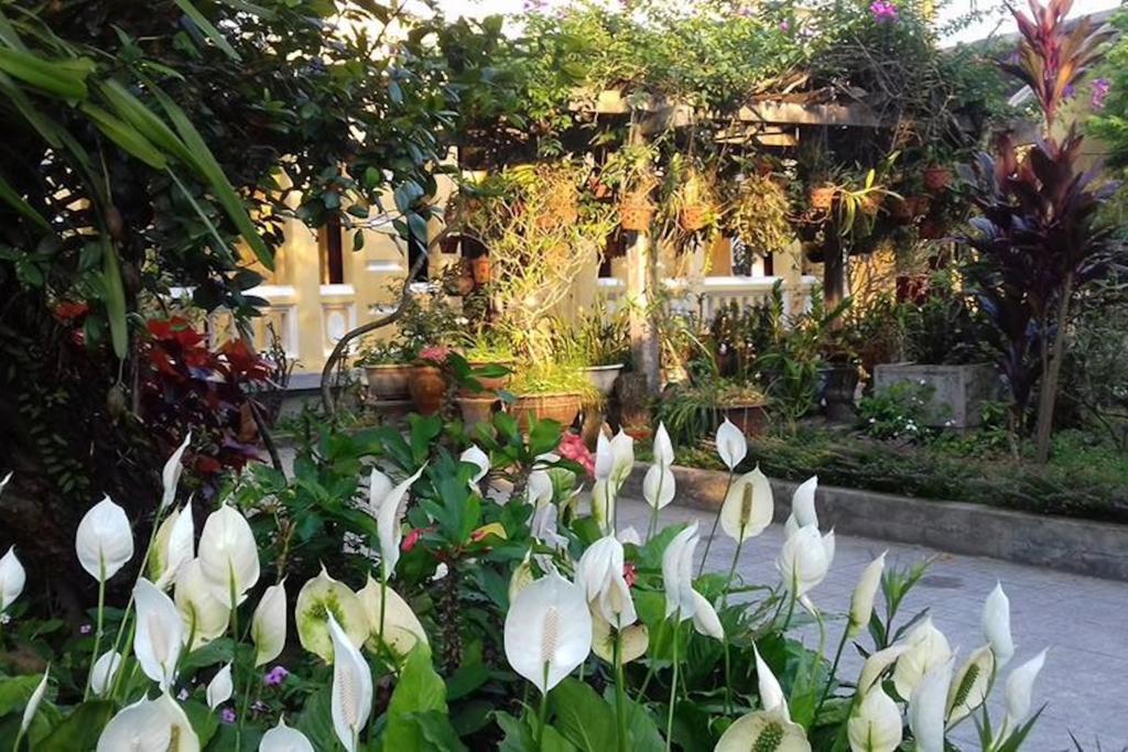 Ciel Homestay Хюэ Экстерьер фото